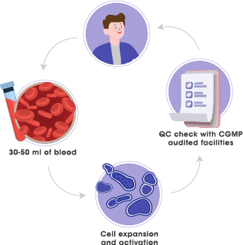 Illustration representing the process of NK Immunotherapy, which enriches and enhances the body's defense system against cancer. The autologous transfer method involves infusing NK cells with minimal risk of rejection, expanding and activating the NK cells, specifically targeting malignant transformed cells and virus-infected cells, and serving as an immunity booster to prevent infections and cancers.